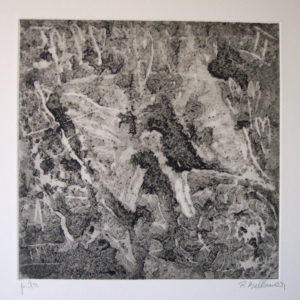Renzo Bellanca Insabbiati (2)