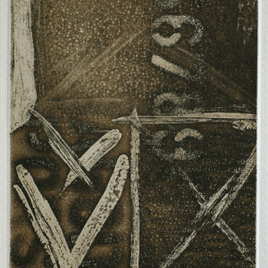 Renzo Bellanca REPERTO