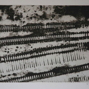 Renzo Bellanca Stratigrafia