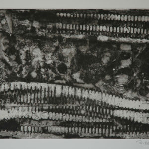 Renzo Bellanca Stratigrafico