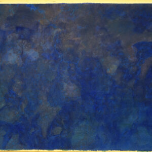 SATELLITE MAP 1